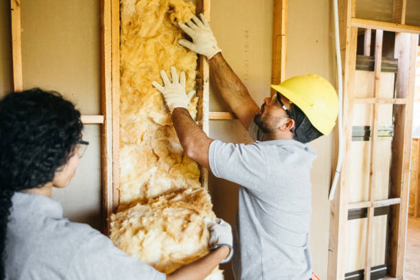 Best Radiant Barrier Insulation  in Woodbine, GA